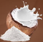 Coconut milk extract powder - Image 2