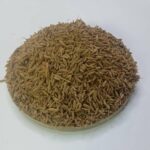 Cumin seed