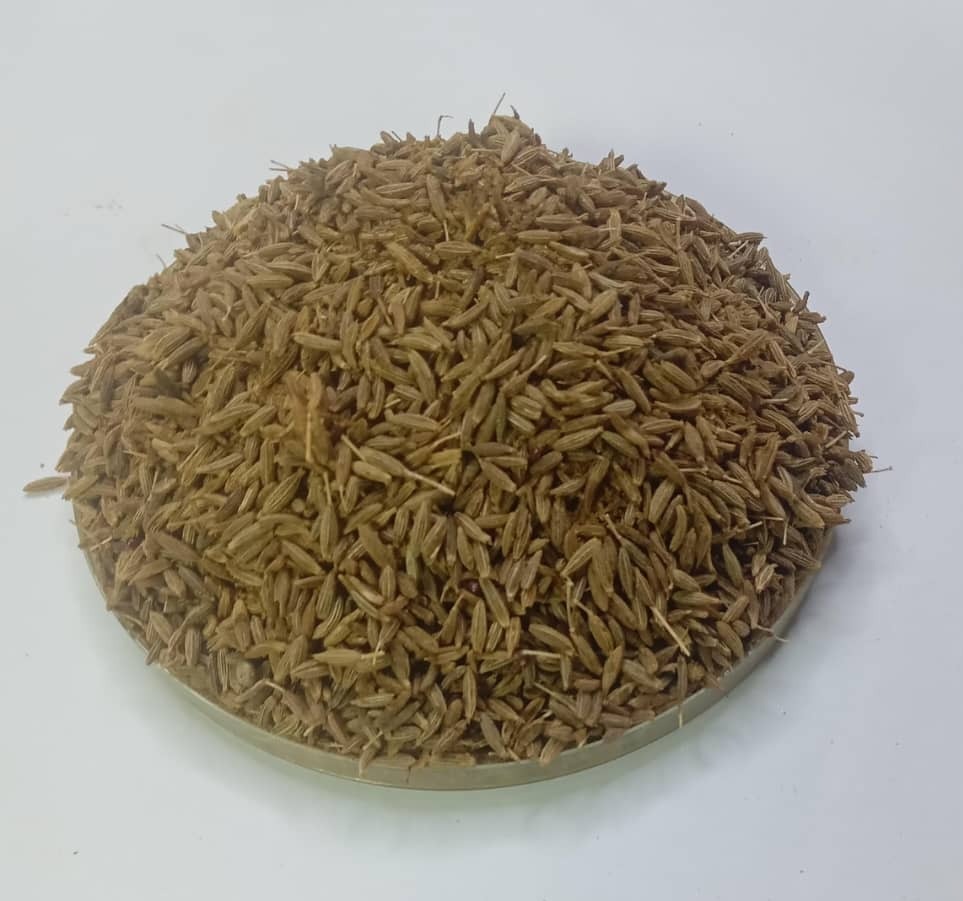 Cumin-seed-1-1.jpeg Cumin seed - Image 1