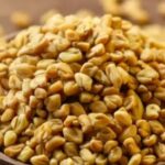 Fenugreek seeds