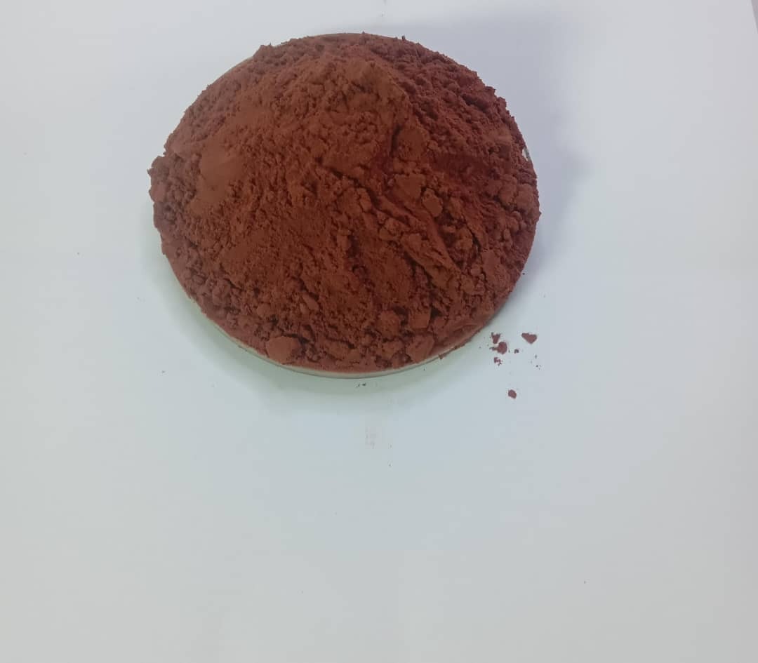 Grapeseed-extract-powder-1-1.jpeg Grapeseed extract powder - Image 1