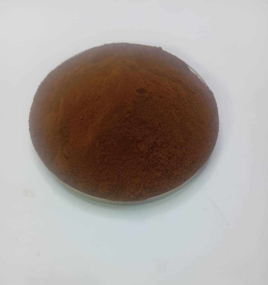 Papaya-extract-powder-1-1.jpeg Papaya extract powder - Image 1