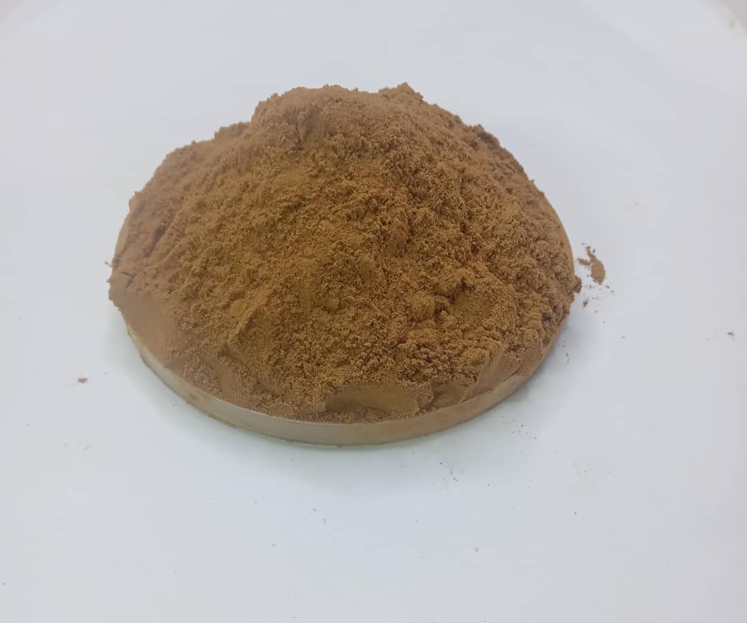 Reishi-extract-1-1.jpeg Reishi Powder - Image 1
