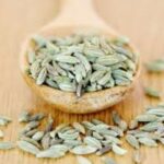 Fennel Essential Oil