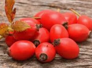 Rosehip Essential Oil