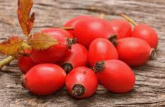 Rosehip Essential Oil