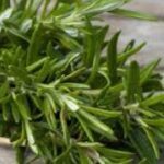 Rosemary Essential Oil