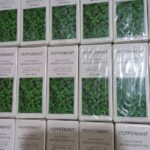 Peppermint Aromatherapy Perfume Oil - 10mL
