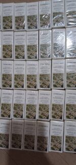 Chamomile Aromatherapy Perfume Oil - 10mL